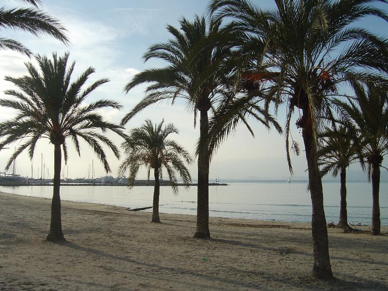 Hotel Hispania Playa de Palma  Exterior foto